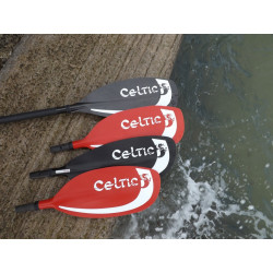 Celtic paddles